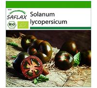 SAFLAX - BIO - Pomodoro - Black cherry - 10 semi - Solanum lycopersicum