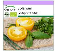 SAFLAX - BIO - Pomodoro - Golden Queen - 15 semi - Solanum lycopersicum
