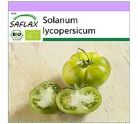 SAFLAX - BIO - Pomodoro - Green Zebra - 10 semi - Solanum lycopersicum
