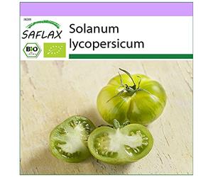 SAFLAX - BIO - Pomodoro - Green Zebra - 10 semi - Solanum lycopersicum