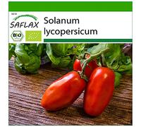 SAFLAX - BIO - Pomodoro - San Marzano - 15 semi - Solanum lycopersicum