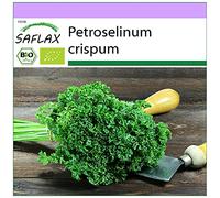 SAFLAX - BIO - Prezzemolo crespo - 800 semi - Petroselinum crispum