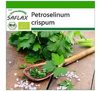 SAFLAX - BIO - Prezzemolo liscio - 600 semi - Petroselinum crispum