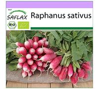 SAFLAX - BIO - Ravanello - French Breakfast - 150 semi - Raphanus sativus