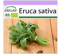 SAFLAX - BIO - Rucola - 3000 semi - Eruca sativa
