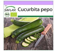SAFLAX - BIO - Zucchina - Nero di Milano - 6 semi - Cucurbita pepo