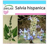 SAFLAX - Confezione regalo - Chia - 500 semi - Salvia hispanica