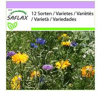SAFLAX - Fiori commestibili - 1000 semi - 12 Sorten