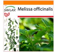 SAFLAX Garden in the bag - Erba limoncina - 150 semi - Melissa
