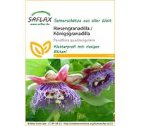 Saflax Granadilla - 1 conf.