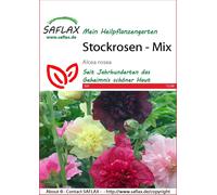 Saflax Mix di Malvarosa - 1 conf.