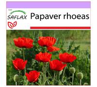 Saflax Papavero - 1 conf.