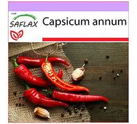SAFLAX - Peperoncino di Cayenna - 20 semi - Capsicum annum