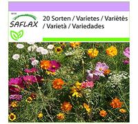 SAFLAX - Prato di fiori da recidere - 1000 semi - 20 Sorten