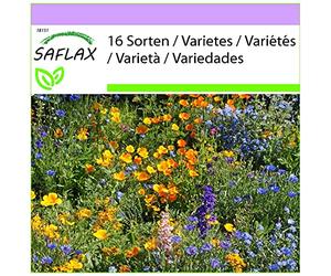 SAFLAX - Prato di montagna - 1000 semi - 16 Sorten