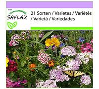 SAFLAX - Prato per farfalle - 1000 semi - 21 Sorten