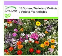 SAFLAX - Profumi seducenti - 1000 semi - 18 Sorten