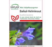 Saflax Scutellaria - 1 conf.