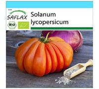 SAFLAX Set regalo - BIO - Pomodoro - Cuor di bue - 10 semi - Solanum