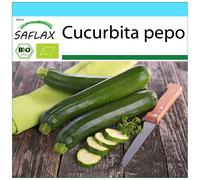 SAFLAX Set regalo - BIO - Zucchina - Nero di Milano - 6 semi - Cucurbita