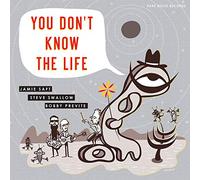 Jamie Saft, Steve Swallow, Bobby Previte You Don't Know the Life (CD) Album