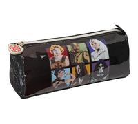safta Master OF THE UNIVERSE - Astuccio con cerniera e scomparto, astuccio per bambini, ideale per bambini in età scolastica, comodo e versatile, qualità e resistenza, 21 x 7 x 8 cm