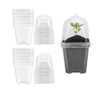 SagaSave Set di 12 vasi per piante da vivaio, 15,5 cm, quadrati, in plastica, con cupola e vassoio per umidità, contenitore per piantine, talee, trapianti (trasparente)
