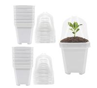 SagaSave Set di 12 vasi per piante da vivaio, 15,5 cm, quadrati, in plastica, con cupola per umidità e vassoio, piccoli contenitori per piante per piantine, talee, trapianti (bianco)