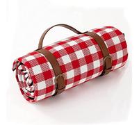 SAGELSHN Coperta Da Picnic Portatile Coperta Da Spiaggia Oversize Picnic Con Sabbia Antisabbia Tappetino Impermeabile Adatto for Il Campeggio Leggera Riutilizzabil(E,150 * 200CM)