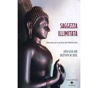 Saggezza illimitata. Manuale per la pratica del Mahàmudrà