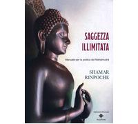 Saggezza illimitata. Manuale per la pratica del Mahàmudrà