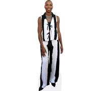 Sagoma di Sasheer Zamata (a strisce)