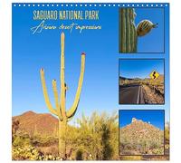 SAGUARO NATIONAL PARK Arizona desert impressions (Wall Calendar 2026 12" x 24" / 30 x 60 cm (open)) CALVENDO 12 Month Wall Calendar