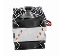 Sahgsa Dispositivo di Raffreddamento per Refrigerazione a Semiconduttore in Materiale Premium Facile da Installare per Componenti Elettronici 12V 6A 72W