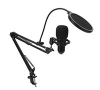 Sahgsa Microfono a Condensatore Scheda Audio USB Kit Professionali per Giochi Dal Vivo con Staffa per Braccio Regolabile per Chat, Giochi Online, Trasmissione, Canto - Lega + Plastica