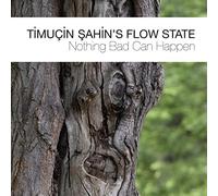 Sahin, Timucin/ Flow State - Nothing Bad Can Happen