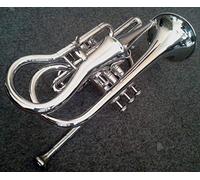 SAI MUSICAL 4-Valve Strumento Molto Raro Echo Cornet
