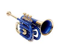 SAI MUSICAL TASCA TROMBA Bb PASSO RAME LACCATO CON CUSTODIA RIGIDA GRATUITA + BOCCHINO