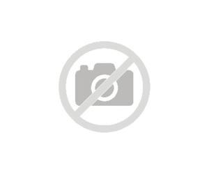 Sai RIELLO 3000VA Batteria Piombo Acido 4h Autonomia LCD Bluetooth