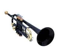Sai Tromba Musicale Sib Nero Con Custodia Bocchino Ben Tuned Strumento Per Principiante Studente Professionista