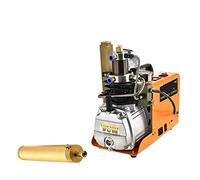 SAIC Pompa Ad Aria Elettrica Ad Alta Pressione Veloce E Inodore 40Mpa Piccola Pompa Ad Aria Speciale For La Respirazione Subacquea(Air pump (with ultra filter))