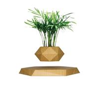 SaiDuoDuo Vaso per Piante levitanti in Legno, vasi per Piante grasse, fioriera, fioriera per Cactus, Decorazioni levitanti per la casa e L'Ufficio, Display levitante Magnetico Galleggiante,Marrone