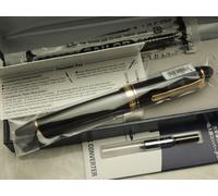 Sailor Profit 21 / 21K pennino fine con convertitore 11-2021-220 / pennino ve...