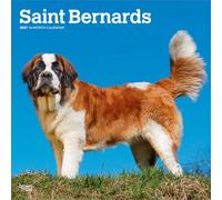 Saint Bernards - Bernhardiner 2027 - 16-Monatskalender: Original BrownTrout-Kalender [Mehrsprachig] [Kalender]