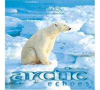 Saint-Denis Roger - Arctic Echoes