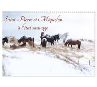 Saint-Pierre et Miquelon à l'état sauvage (Calendrier mural 2026 DIN A3 vertical), CALVENDO calendrier mensuel: Un petit bout de France méconnu