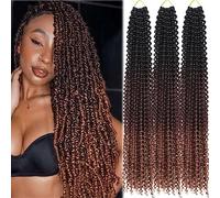 Saisifen Passion Twist Crochet Estensioni dei capelli per le donne nere 16 Strands/Pack 6 pacchi/lotto Onda d'acqua ombre Cabbricello all'uncinetto fai da te (24 pollici, T1B/4/30)