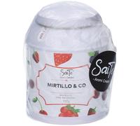 Saite' Tisana Mirtillo & Co 100 g