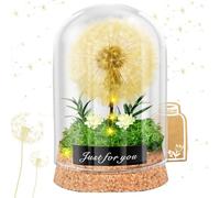 SaiXuan Lampada dei Desideri con Dente di Leone in Vetro, Luce Notturna LED, Regalo Compleanno Donna,San Valentino, Festa della Mamma, Regali Migliore Amica