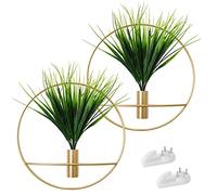 SAJANDAS Set di 2 piante artificiali con cerchio rotondo in metallo dorato per decorazione da parete, piante finte verdi in cerchio di metallo per decorazione domestica moderna, decorazione da parete